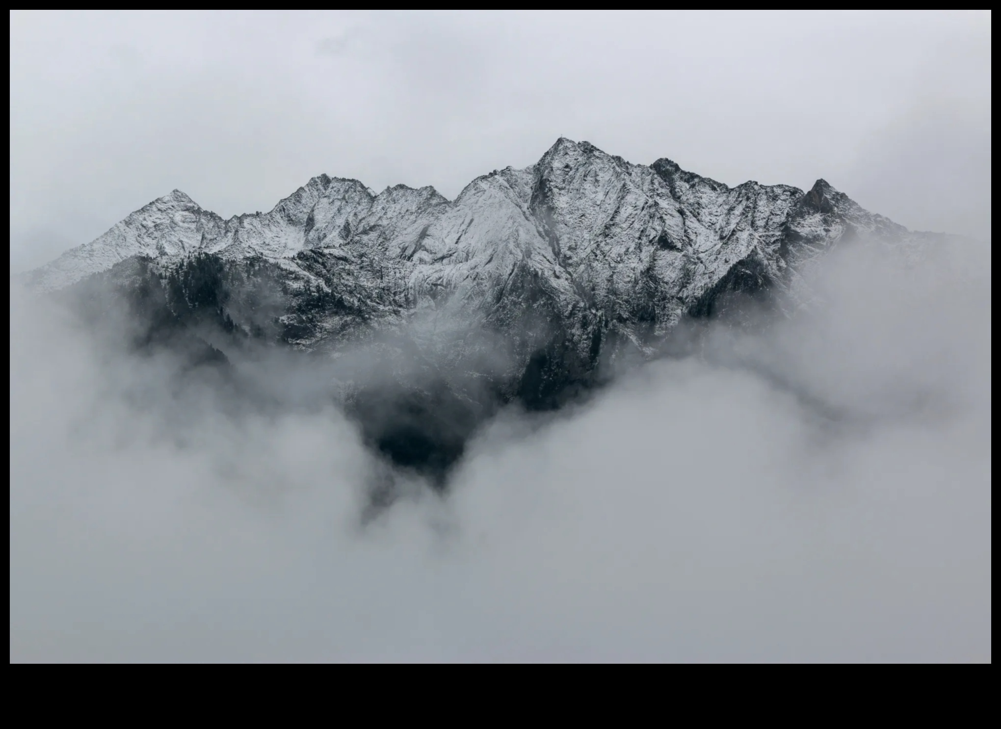 Macro Mystique: Deblocarea secretelor fotografiei la scară mică