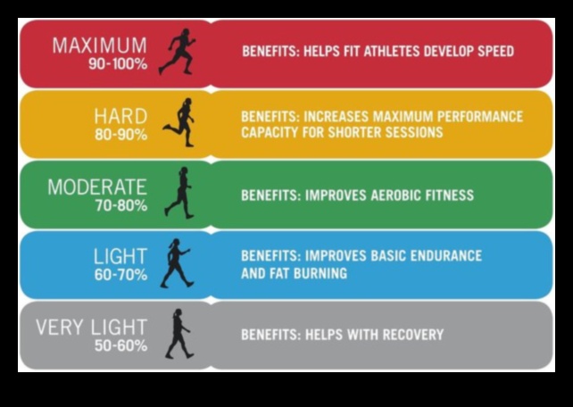 Ridicați-vă pulsul: Antrenamente cardiovasculare pentru performanță maximă