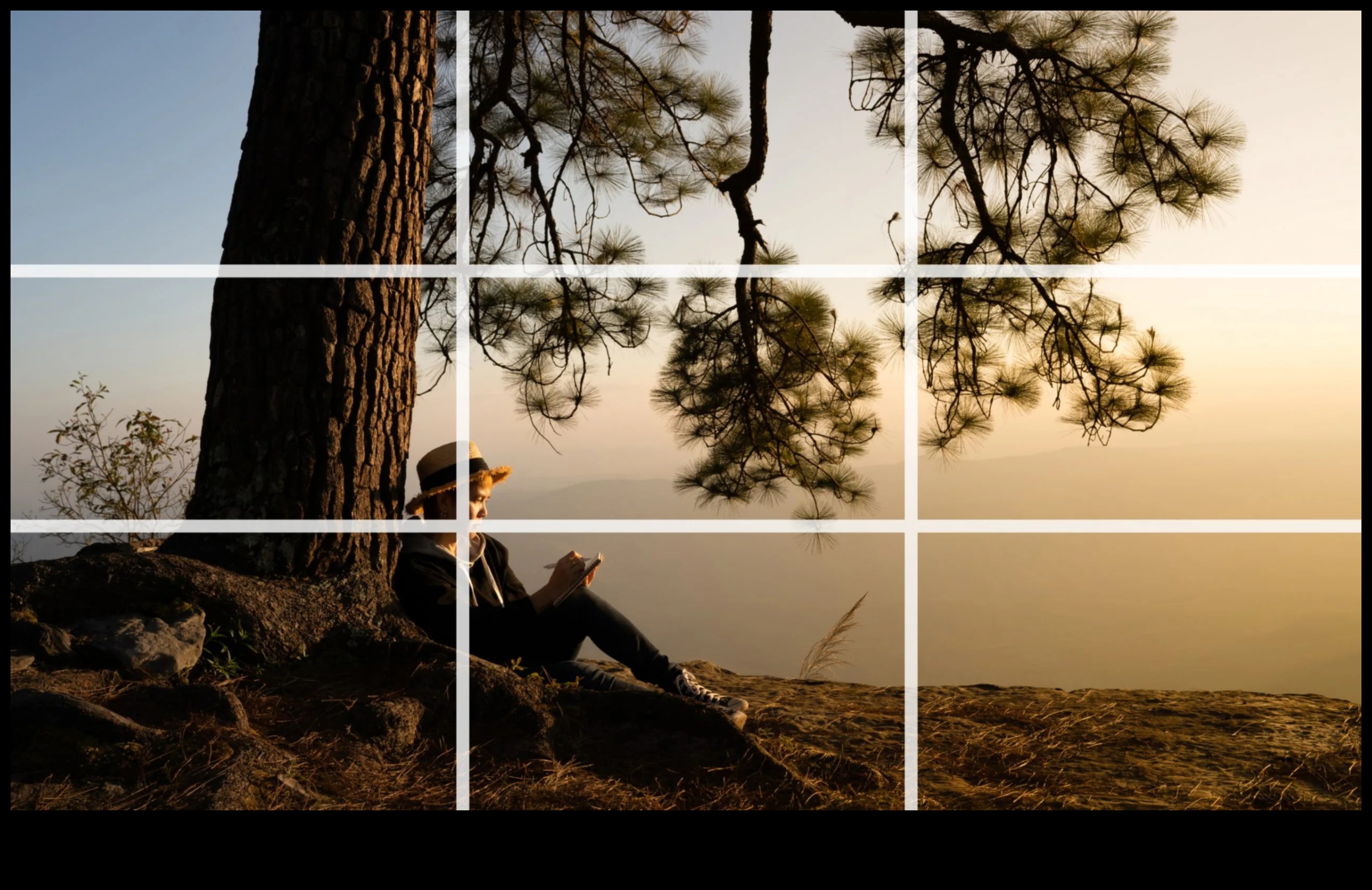 Reguli de compoziție pentru fotografii DIY: dincolo de elementele de bază