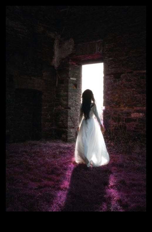 Narațiuni naturale: Povestirea prin stiluri de fotografie organice și sincere