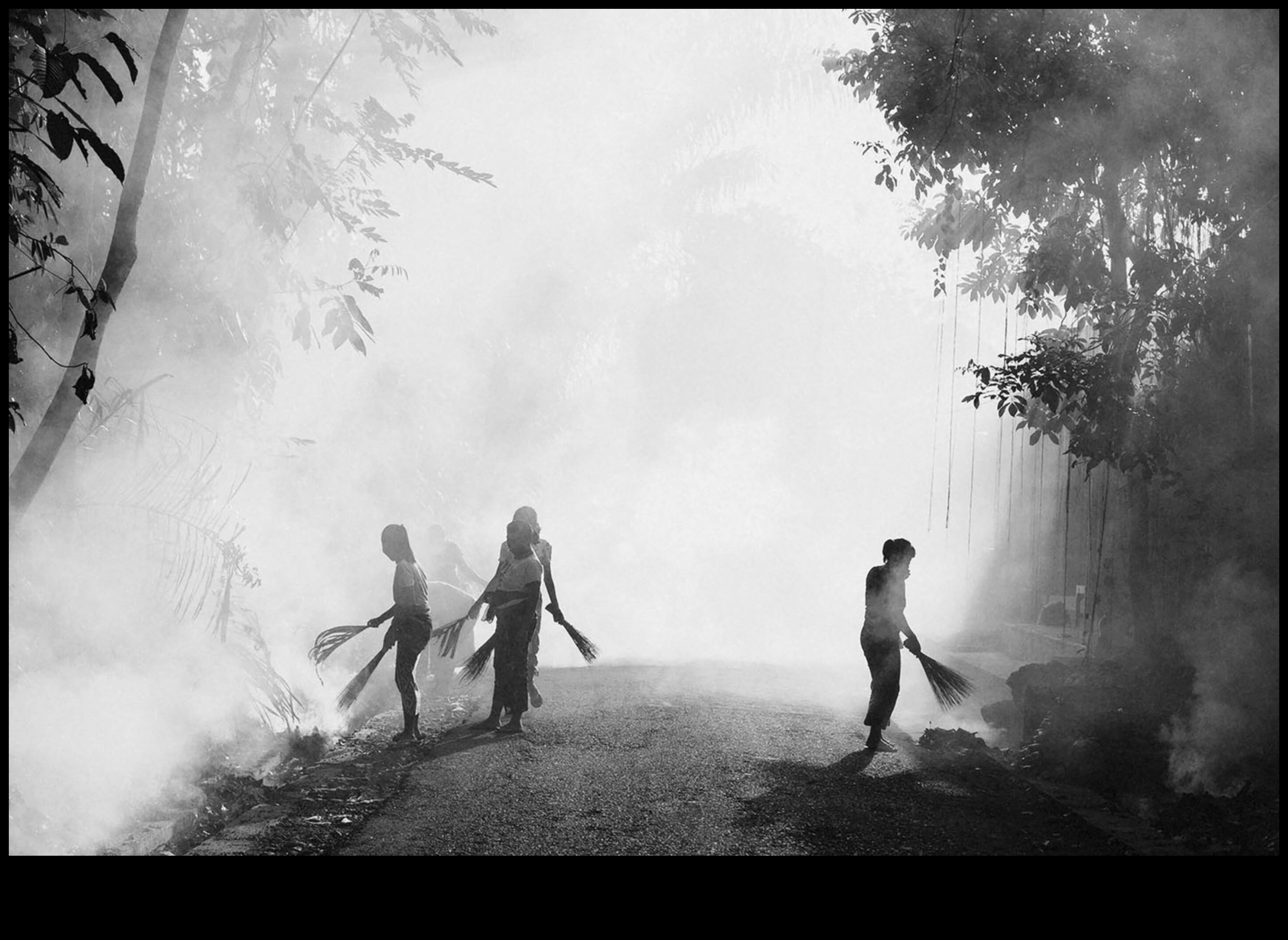 Narațiuni naturale: Povestirea prin stiluri de fotografie organice și sincere