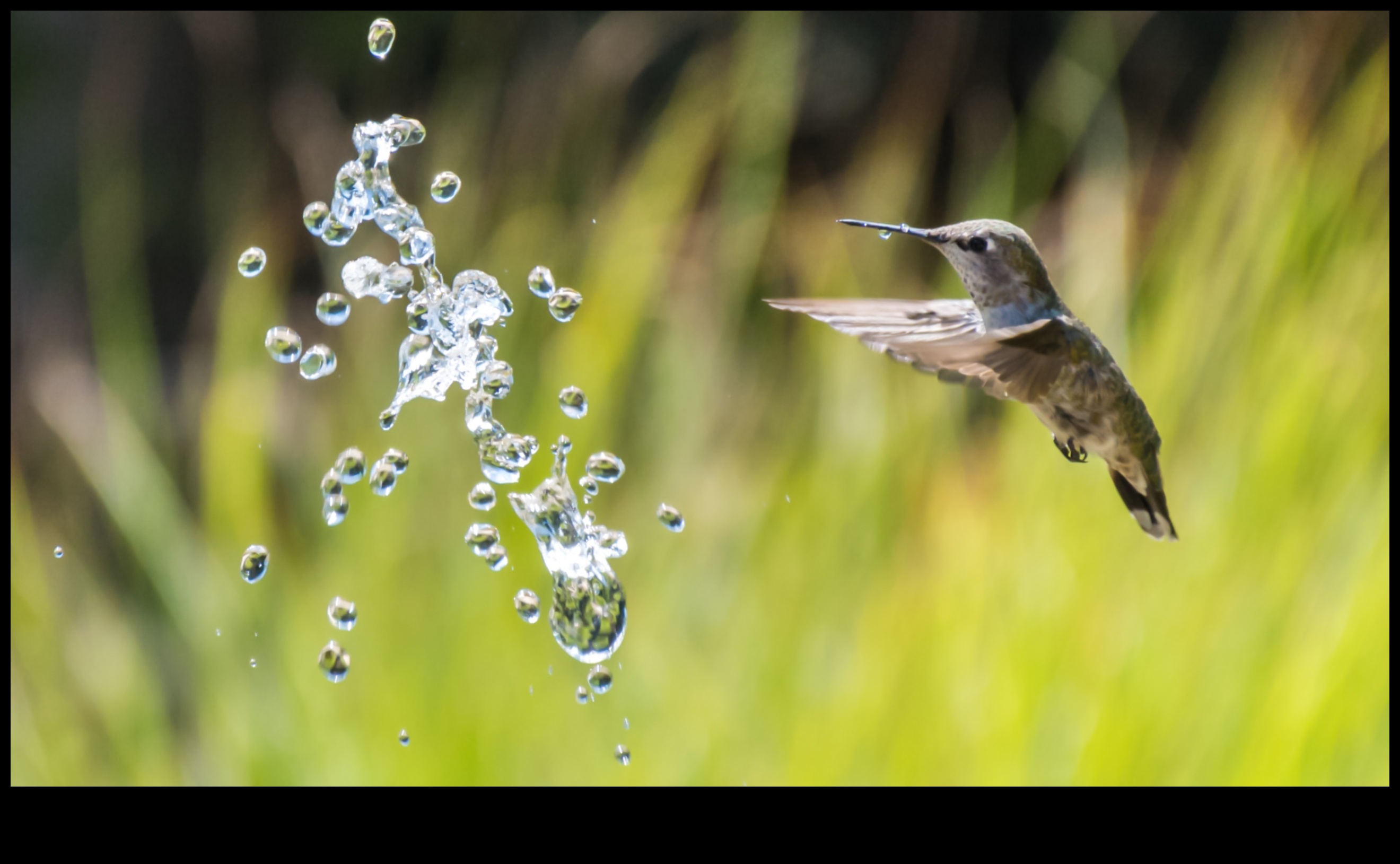 Stăpânește viteza obturatorului într-un clic Ghidul suprem pentru fotografia digitală 4 Viteza obturatorului într-un clic: Maestria fotografiei digitale