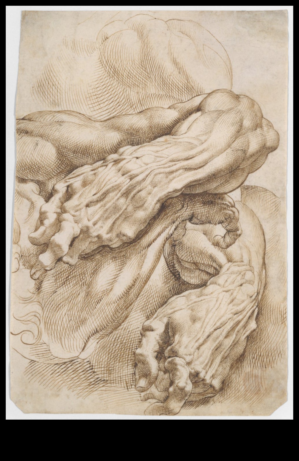 Arta explicației: crearea clarității în desenele științifice