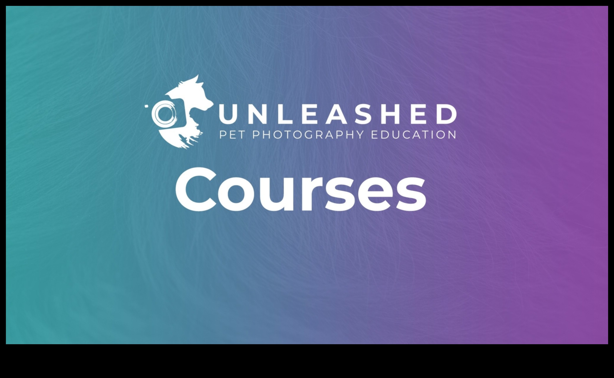 Fotografie dezlănțuită: scufundă-te în măiestrie cu educația experților