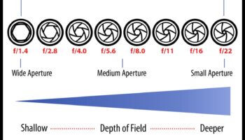 Aperture Alchemy: Stăpânirea perspectivelor cu educația expertă în fotografie
