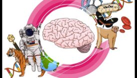 Arta explicației: crearea clarității în desenele științifice