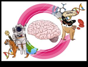 Arta explicației: crearea clarității în desenele științifice