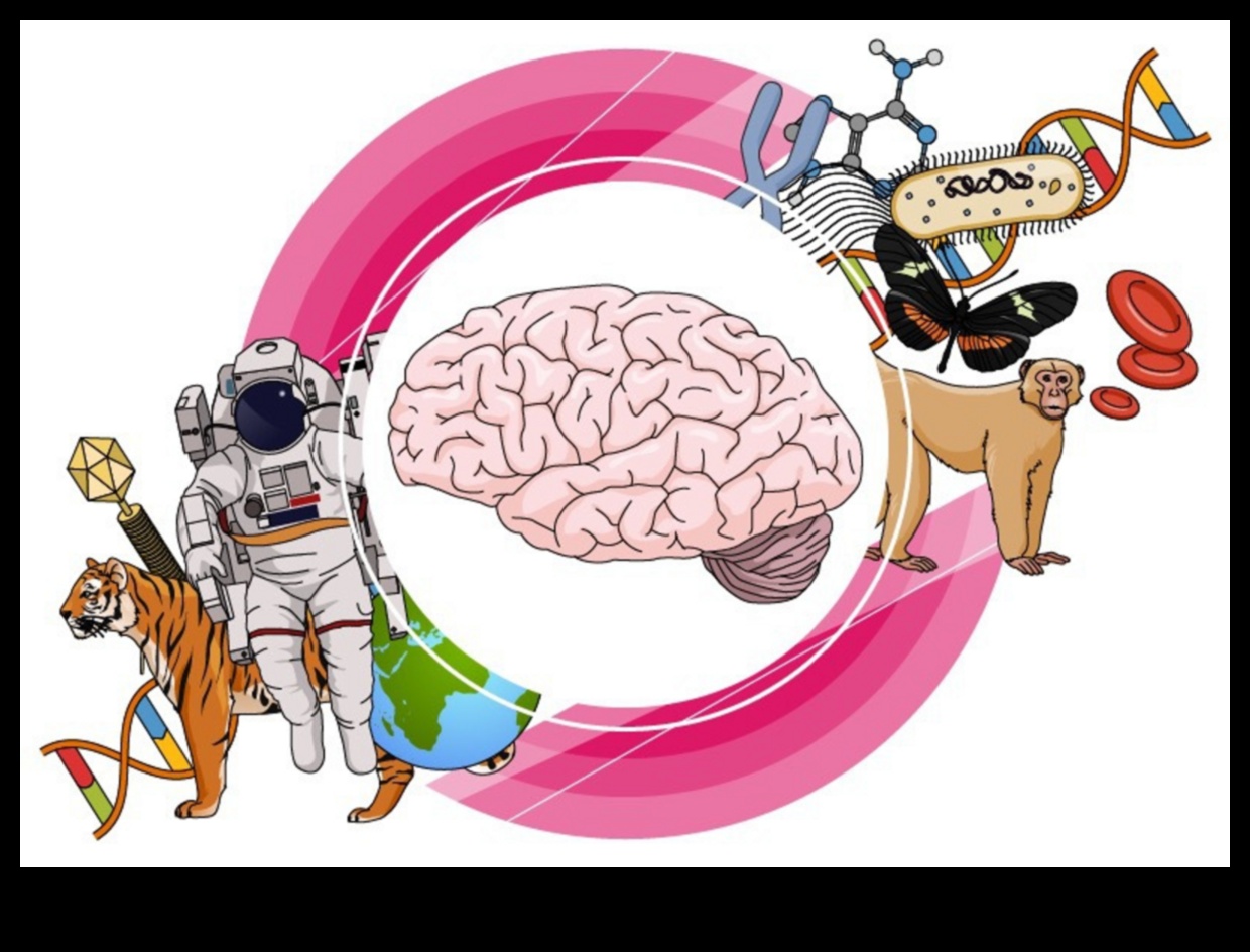 Arta explicației: crearea clarității în desenele științifice