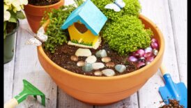 DIY Fairy Gardens supra copii 2 Grădinile cu zâne pentru copii: creați lumi încântătoare în miniatură