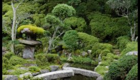 Idei tradiționale de decorare a grădinii japoneze