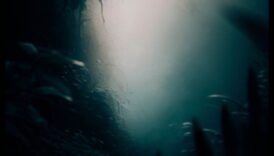 Dincolo de suprafață: dezvăluirea frumuseții ascunse prin capturi macro captivante