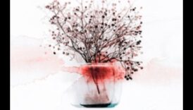 Frumusețe efemeră: arta de a desena momente de natură moartă