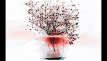 Frumusețe efemeră: arta de a desena momente de natură moartă