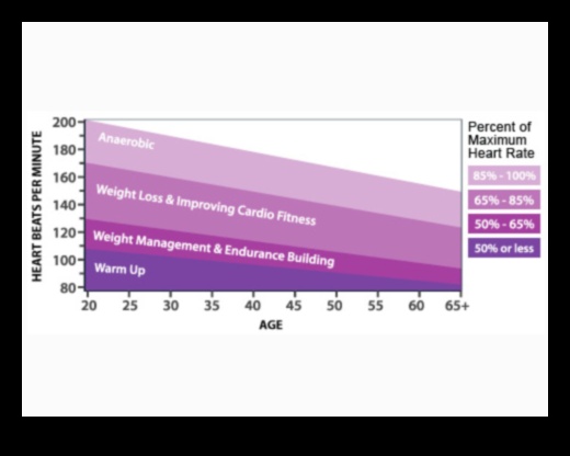 Ridicați-vă pulsul: Antrenamente cardiovasculare pentru performanță maximă